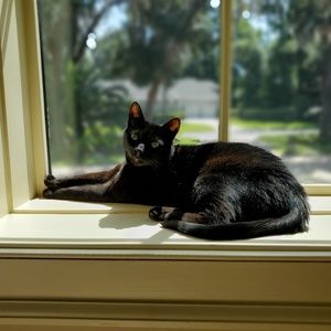 Meet your Posher, Courtney